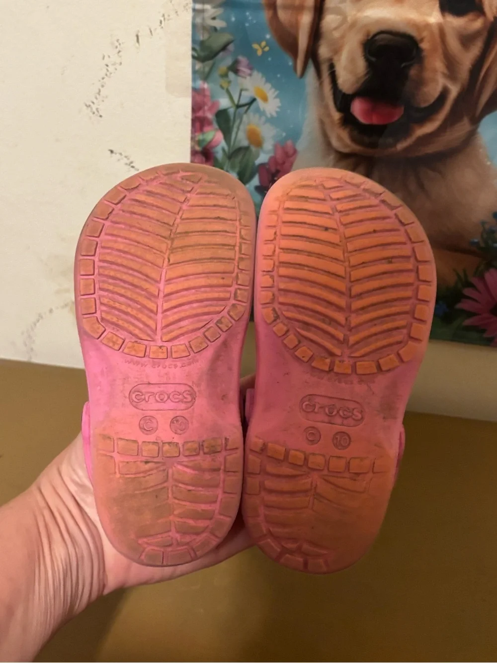 CROCS Kids Bright Pink Classic Clog Sandals C10